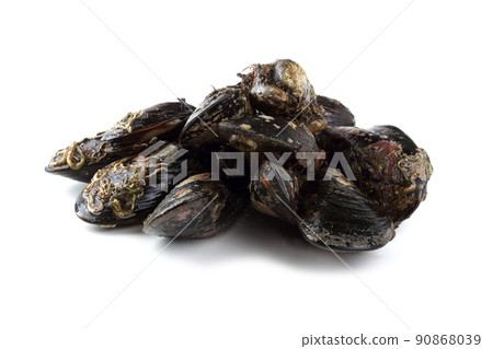 Mussels 90868039