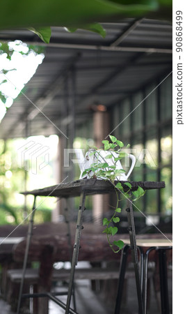 Nice plant and jar decorate on table 90868499