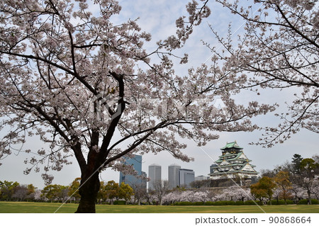 日本春天的大阪城公園,盛開的櫻花和宏偉的城堡塔周圍的城市景觀和摩天大樓 日本春天的大阪城公園,盛開的櫻花和宏偉的城堡塔周圍的城市景觀和摩天大樓 90868664