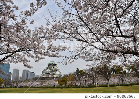 日本春天的大阪城公園，盛開的櫻花和宏偉的城堡塔周圍的城市景觀和摩天大樓 90868665