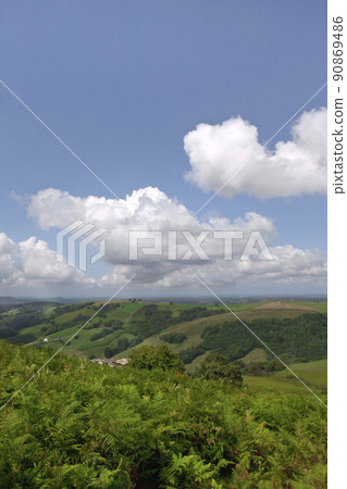 Hills and ferns landscape on a blue sky background 90869486