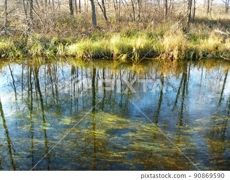 Autumn landscape in wood 90869590