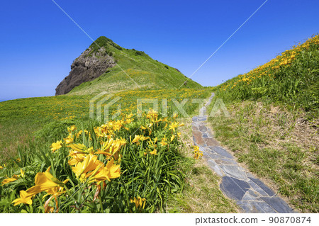 Sado Island Onogame's Tobishima licorice 90870874