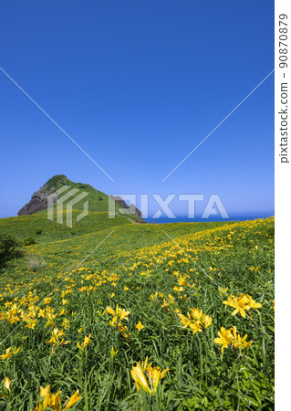 Sado Island Onogame's Tobishima licorice 90870879