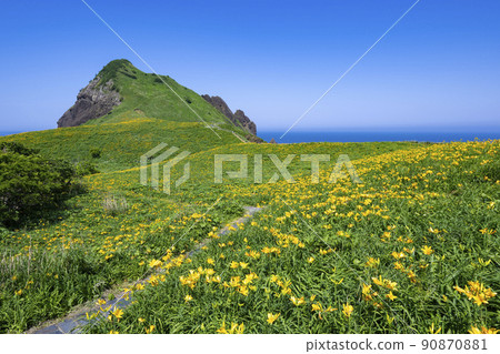 Sado Island Onogame's Tobishima licorice 90870881