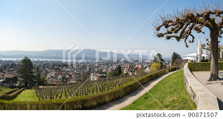 Zurich, Switzerland - March 26th 2022: View from Sonnenberg over vineyards towards the city. 90871507