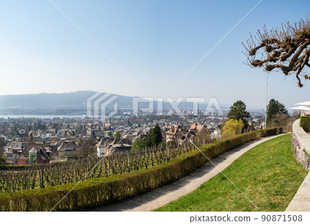 Zurich, Switzerland - March 26th 2022: View from Sonnenberg over vineyards towards the city. 90871508