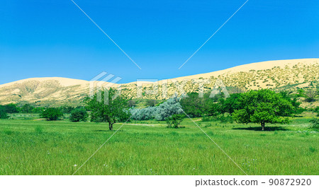 natural landscape with a huge sand dune Sarykum in the background natural landscape with a huge sand dune Sarykum in the background 90872920