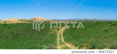 road in semi-desert steppe landscape in the vicinity of the Sarykum sand dune 90872923