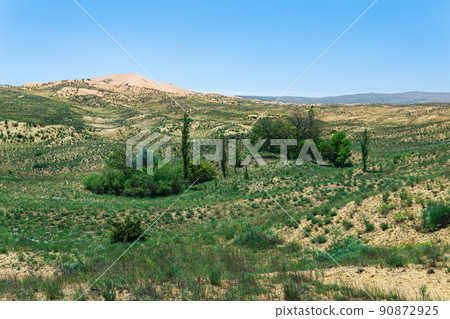 semi-desert spring landscape in the vicinity of the Sarykum sand dune 90872925