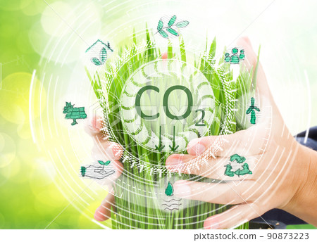 carbon neutral bussiness concept 90873223