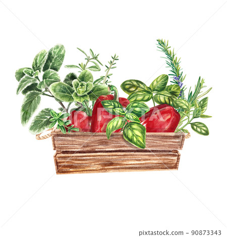 Red pepper and Provencal herbs: basil, rosemary, cumin, marjoram. Farm style. harvest, agriculture, Watercolor illustration is suitable for restaurant menus, leaflets, posters, textiles, postcards. 90873343
