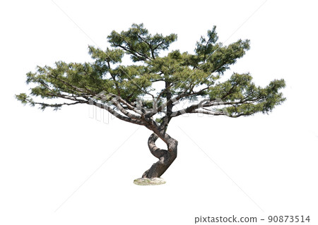 木頭,透明背景,地衣 木頭,透明背景,地衣 90873514