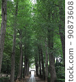 自然豐富的公園 90873608