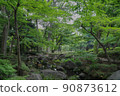 充滿大自然的花園 90873612