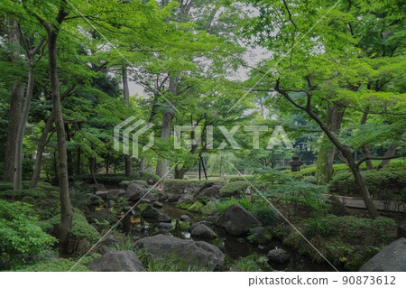 充滿大自然的花園 90873612