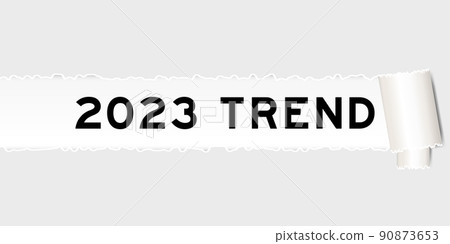 Ripped gray paper background that have word 2023 trend under torn part 90873653