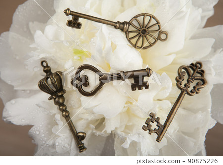 image of key flower water drop 90875226