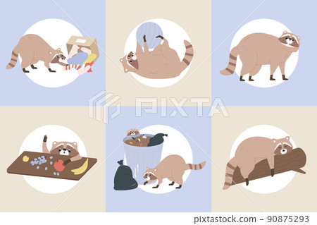 Racoon Flat Set 90875293