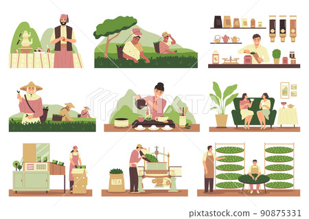 Tea Production Set Tea Production Set 90875331