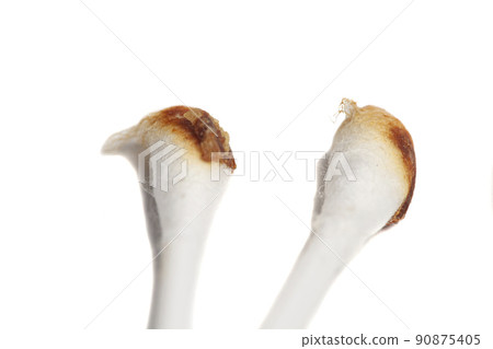 Ear wax on cotton swab isolated on white background Ear wax on cotton swab isolated on white background 90875405
