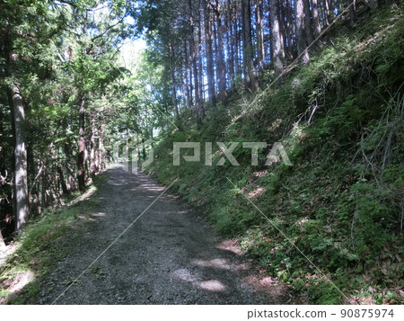 Nishiyama Forest Road (Okura-Futamata, Nabewariyama, etc.) Omote Tanzawa Prefectural Forest, Hadano City, Kanagawa Prefecture 90875974
