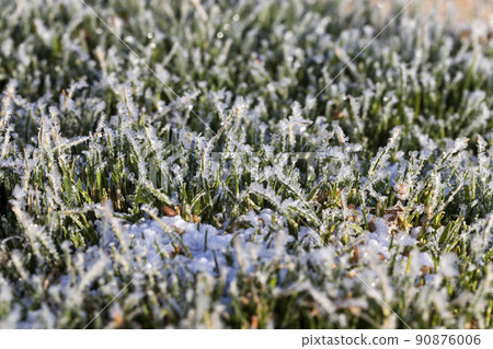 grass covered with white cold frost in the winter season 90876006