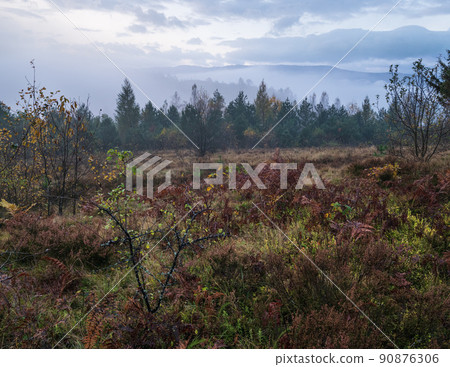 Cloudy and foggy early morning autumn meadow scene. Peaceful picturesque traveling, seasonal, nature and countryside beauty concept scene. Carpathian Mountains, Ukraine. Cloudy and foggy early morning autumn meadow scene. Peaceful picturesque traveling, seasonal, nature and countryside beauty concept scene. Carpathian Mountains, Ukraine. 90876306