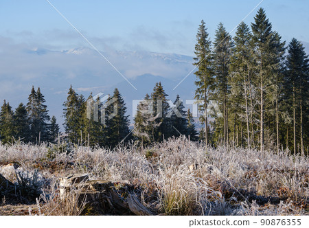 Winter coming. Last days of autumn, morning in mountain countryside peaceful picturesque hoarfrosted scene.  Ukraine, Carpathian mountains. 90876355