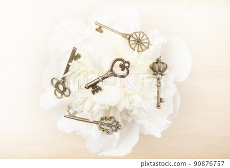 image of key flower water drop 90876757