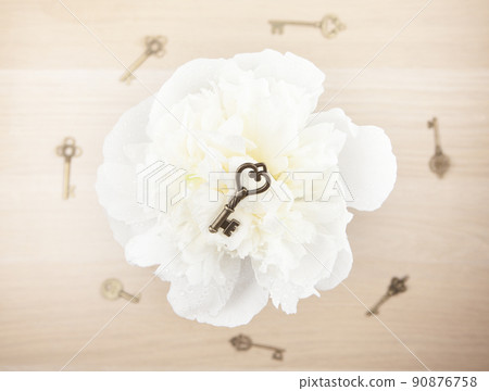 image of key flower water drop 90876758