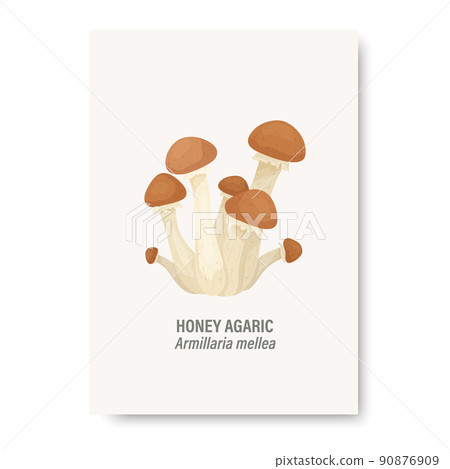 Vector Honey Agaric Mushroom Isolated on White. Card with Hand Drawn Cartoon Honey Agaric Mushrooms. Design Template, Clipart. Armillaria Mellea. Mushroom Set 90876909