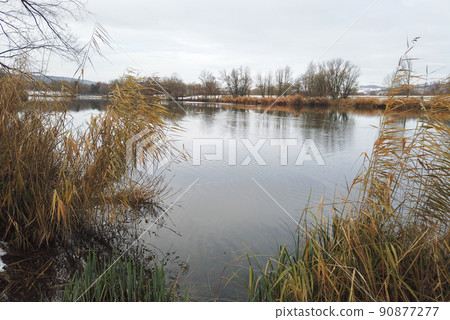 Regensburg, Germany, Idyllic landscape and marsh in nature reserve in winter 90877277