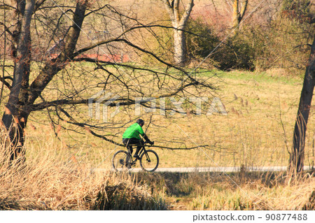 Regensburg, Germany, people are riding the bike on a rural road at sunset along Danube river in Regensburg, Germany, Europe. 90877488