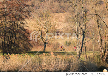 Regensburg, Germany, people are riding the bike on a rural road at sunset along Danube river in Regensburg, Germany, Europe. 90877492