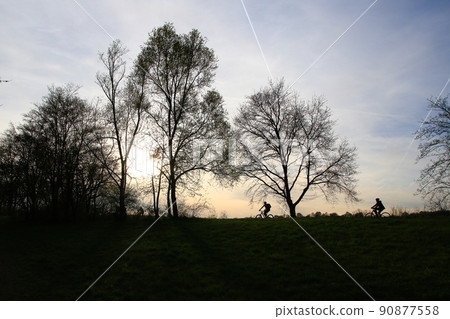 Regensburg, Germany, silhouette of people riding the bike on a rural road at sunset along Danube river in Regensburg, Germany, Europe. Regensburg, Germany, silhouette of people riding the bike on a rural road at sunset along Danube river in Regensburg, Germany, Europe. 90877558