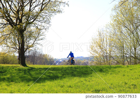 Regensburg, Germany, people are riding the bike on a rural road at sunset along Danube river in Regensburg, Germany, Europe. 90877633