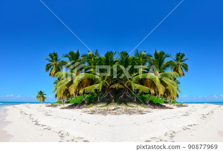 Nice palm trees on a white sand beach, under a blue sky. Caribbean Sea coast Nice palm trees on a white sand beach, under a blue sky. Caribbean Sea coast 90877969