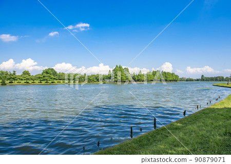 Mizumoto Park, Katsushika-ku, Tokyo Koai Tamei 90879071