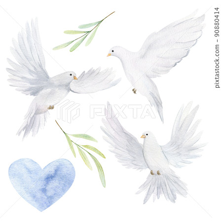 Watercolor white dove and olive branches. Hand drawn watercolor illustration. Decorative design elements. 90880414