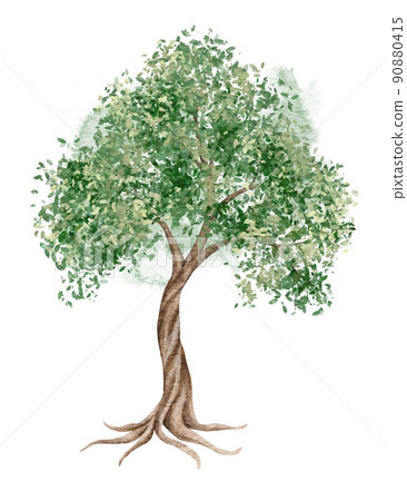 Watercolor Olive tree, Baptism, Wedding invitation, Religious illustration Watercolor Olive tree, Baptism, Wedding invitation, Religious illustration 90880415