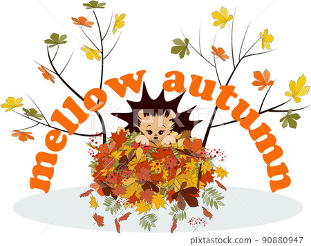 Vector image of a sleeping hedgehog. Series of illustrations 90880947