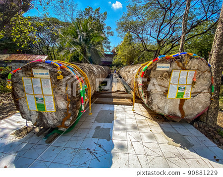 Wat Sam Phran the Dragon temple in Nakhon Pathom, Thailand Wat Sam Phran the Dragon temple in Nakhon Pathom, Thailand 90881229