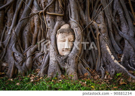 Wat Phra Mahathat temple with head statue trapped in bodhi tree in Phra Nakhon Si Ayutthaya 90881234