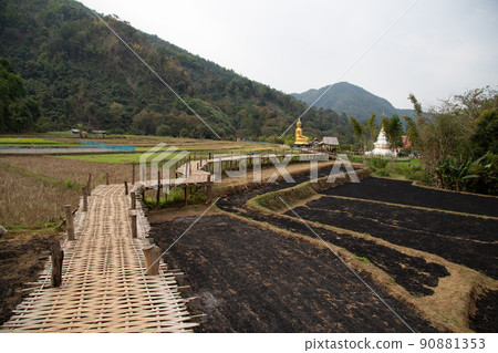 Wat Na Khuha Temple in Phrae Thailand 90881353