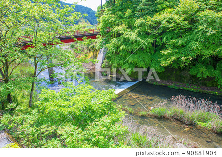 Downstream of Arima Dam, near the Iruma River confluence, spring, fresh green river scenery Downstream of Arima Dam, near the Iruma River confluence, spring, fresh green river scenery 90881903
