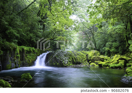 Kikuchi Gorge with beautiful fresh green in early summer (Kikuchi City, Kumamoto Prefecture) 90882076