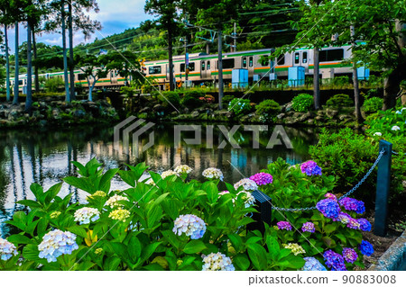Hydrangea and railroad Hydrangea and railroad 90883008
