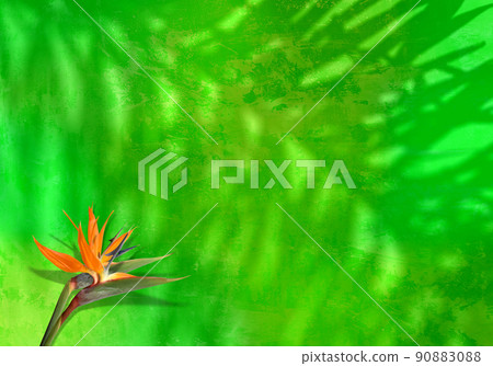 美麗的夏花鶴望蘭和棕櫚葉陰影，熱帶綠色背景 90883088