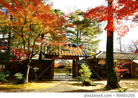 Autumn leaves of Ichishima Tei (Niigata Prefecture) 90883208
